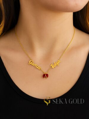 Collier prénom à deux prénoms et coccinelle – Argent sterling 925