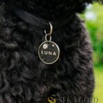 Dierenpenning met maan en ster – 925 sterling zilver